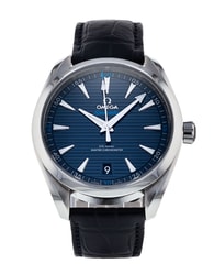Omega Aqua Terra 150m Gents 220.13.41.21.03.001